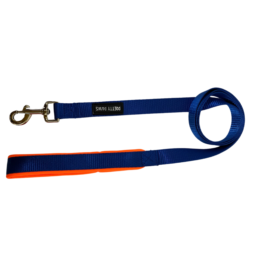 Solid Blue Dog Leash
