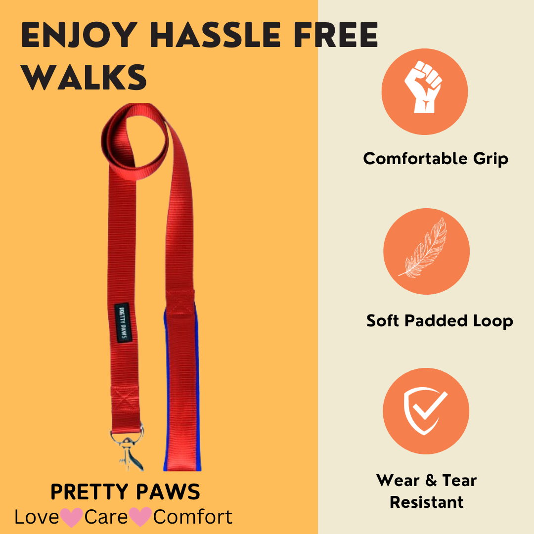 Solid Red Dog Leash