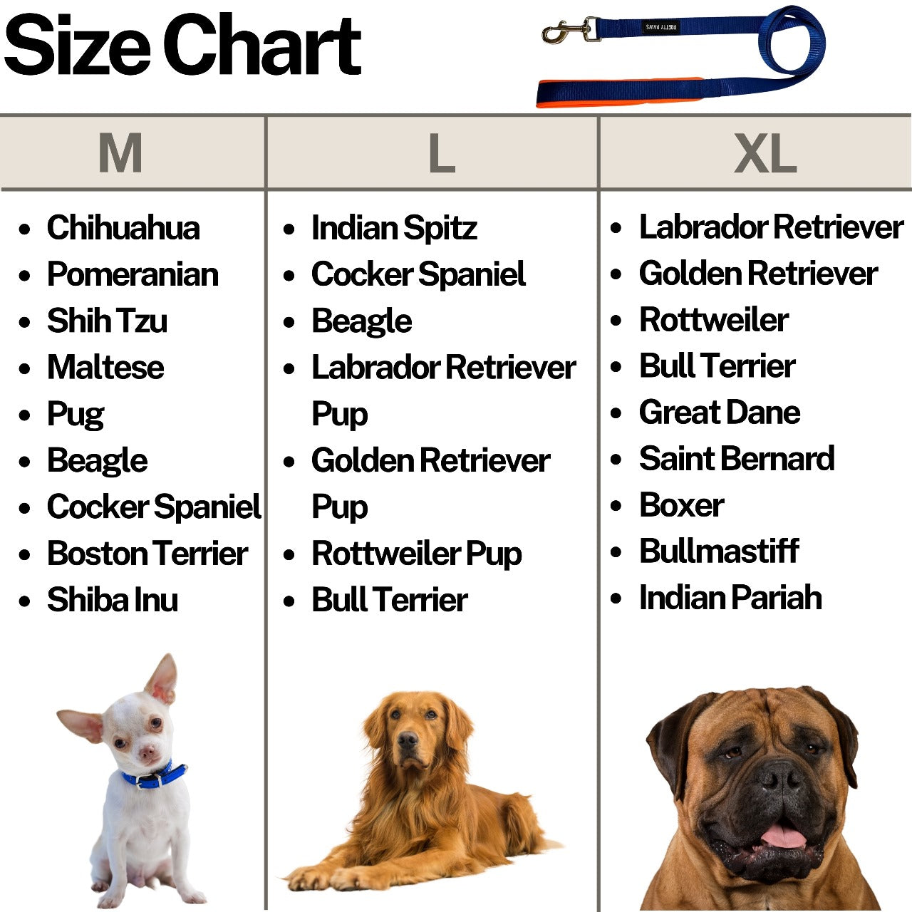 Solid Blue Dog Leash