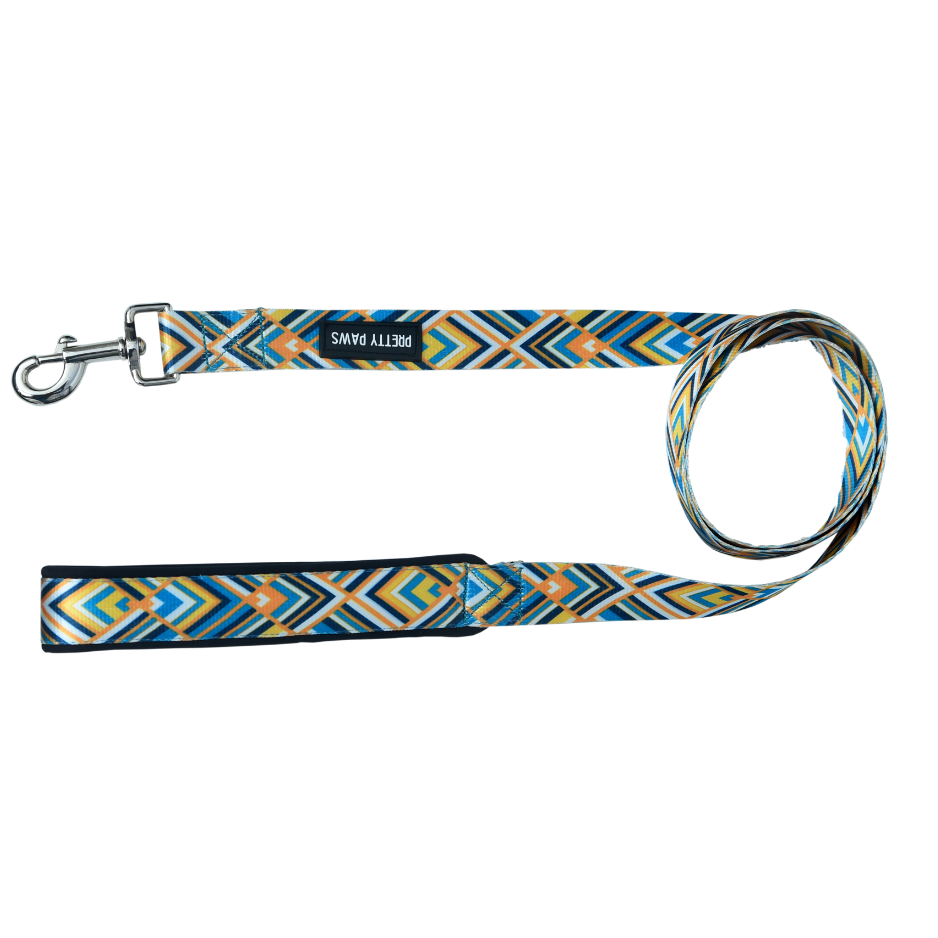 Printed Yellow Dog Leash