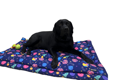 Space Themed Dog Mat