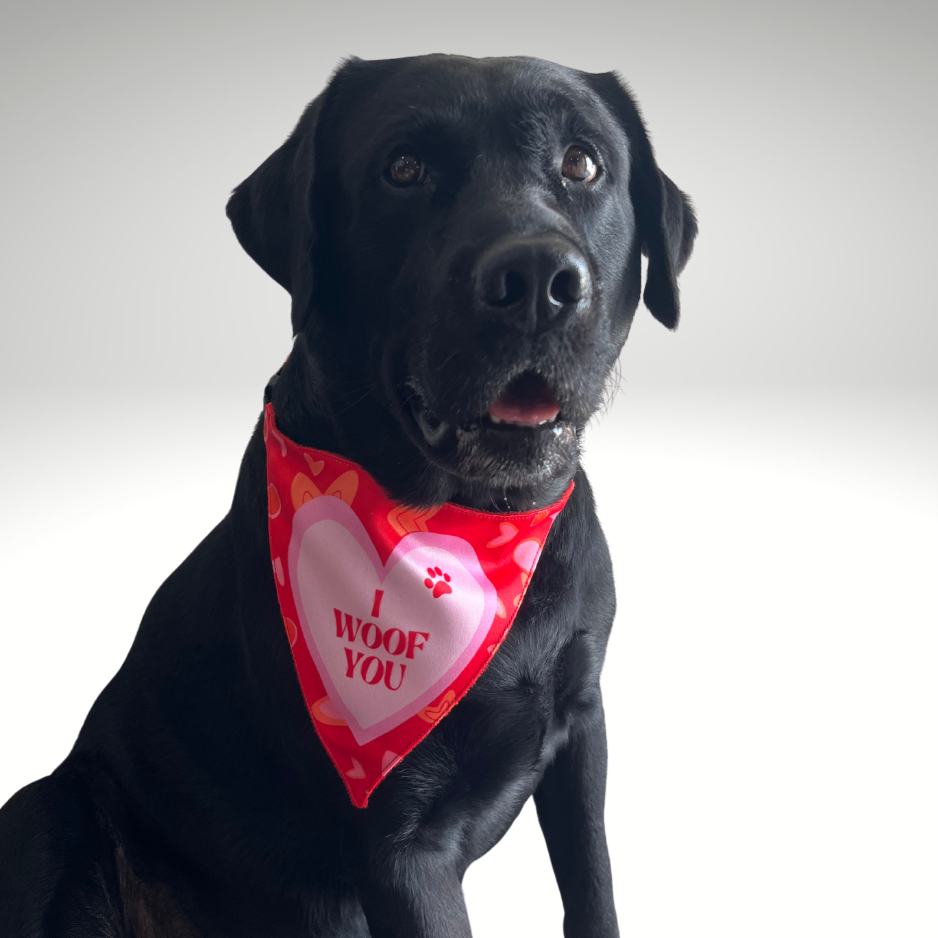 Woof-You Bandana