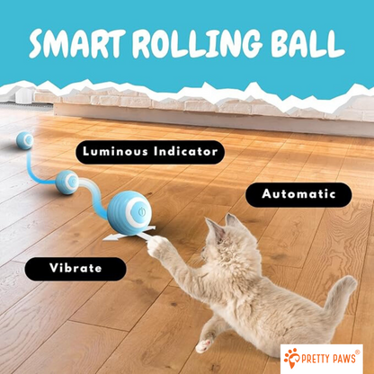 Silicone Rolling Ball Small