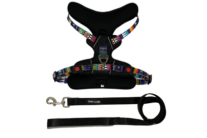 Black Printed Full Body Dog Harness & Leash Set