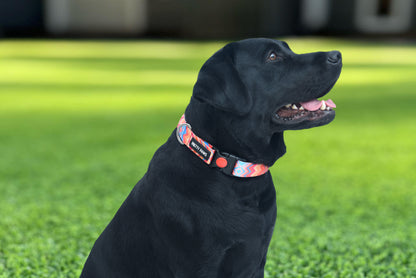 Printed Red Dog Collar