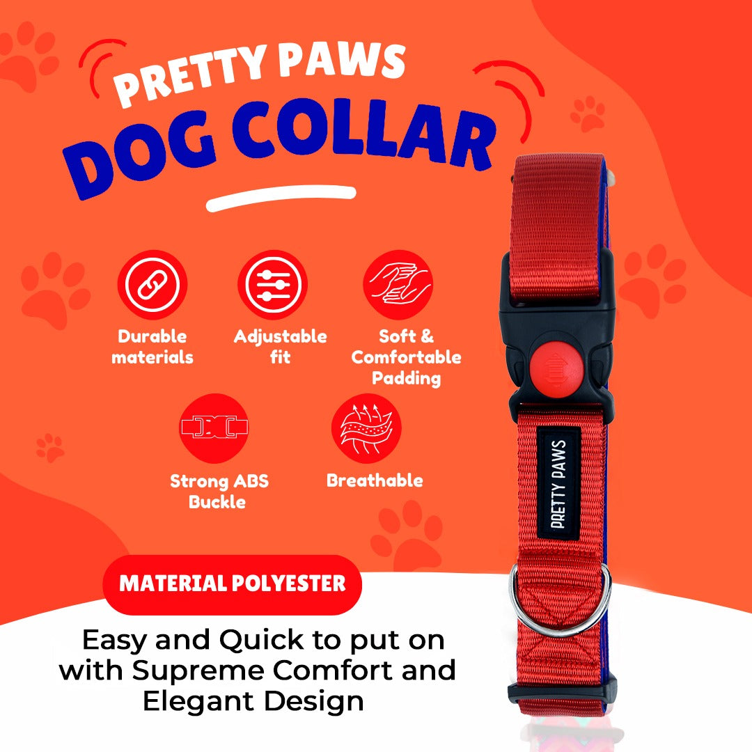 Solid Red Collar & Leash Set for Dogs