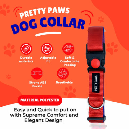 Solid Red Collar & Leash Set for Dogs