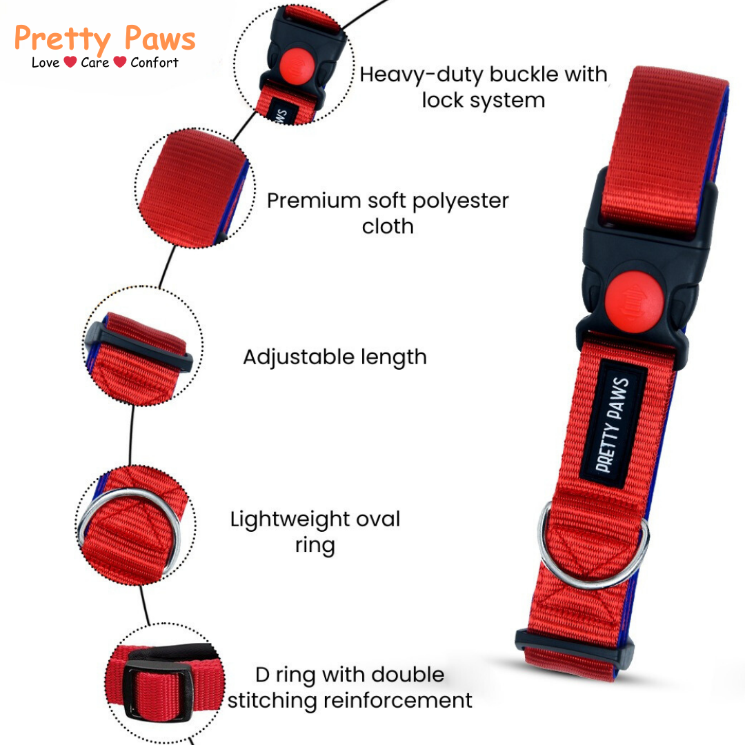 Solid Red Collar & Leash Set for Dogs