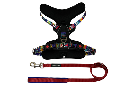 Black Printed Full Body Dog Harness & Red Leash Set