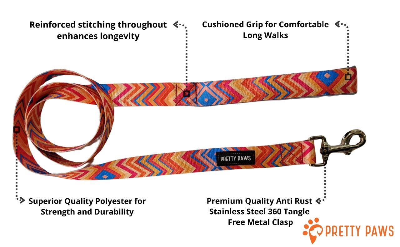 Printed Red Collar & Leash Set for Dogs