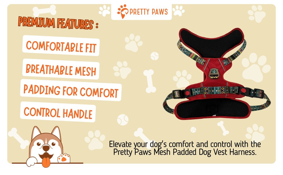 Red Printed Full Body Dog Harness & Black Leash Set